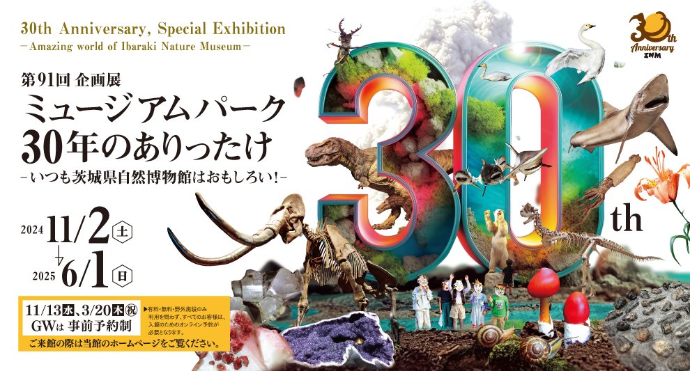 🏛️ 이바라키 시립 문화재 자료관(이바라키 시리츠 분카자이 시료칸) 이미지 5